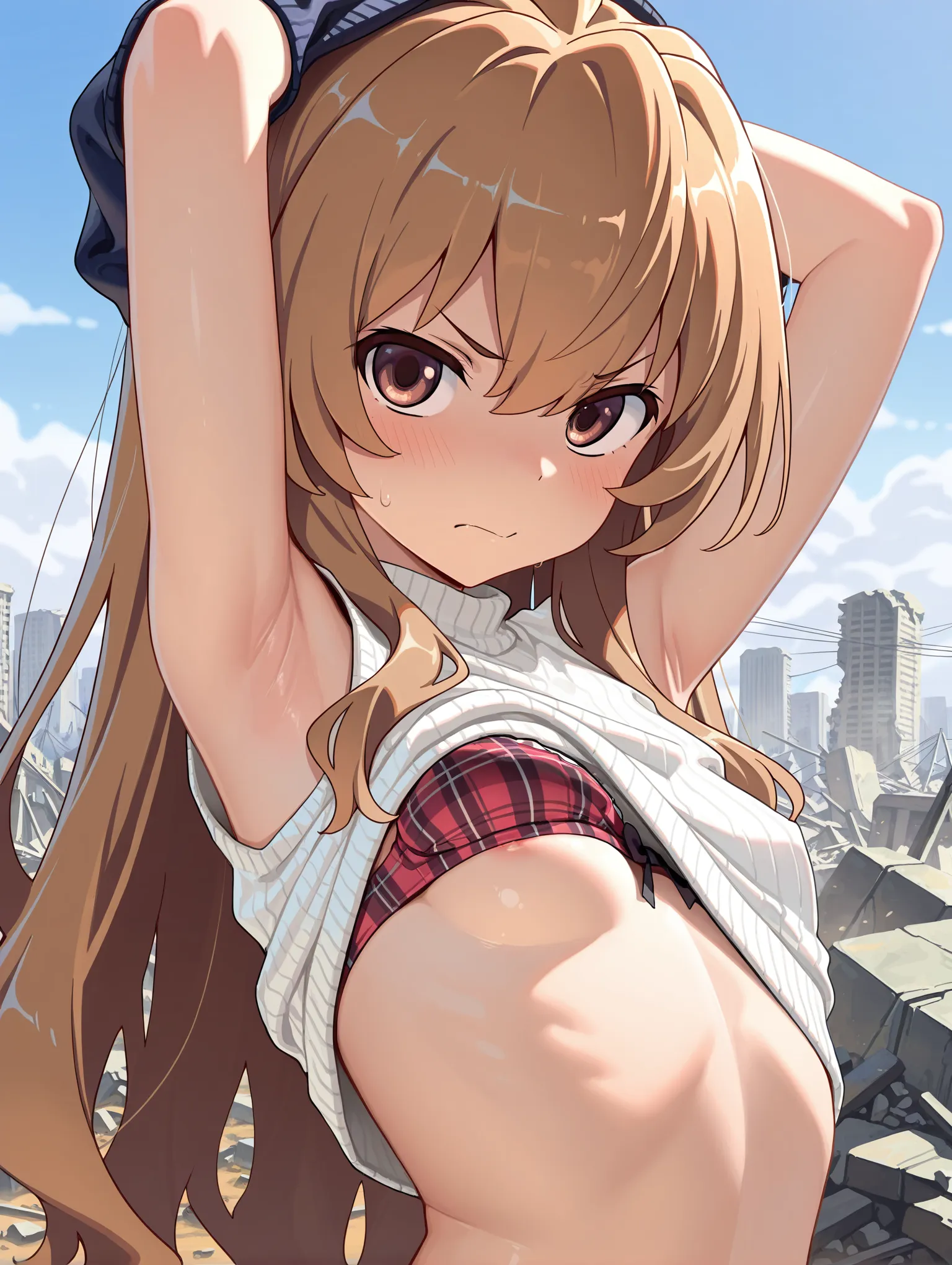 とらドラ！