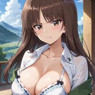 걸즈 앤 판처